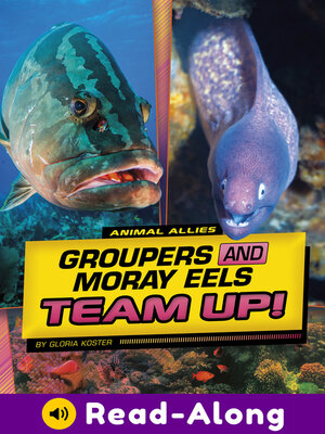 cover image of Groupers and Moray Eels Team Up!